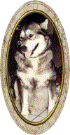 walaska.gif (54473 Byte)